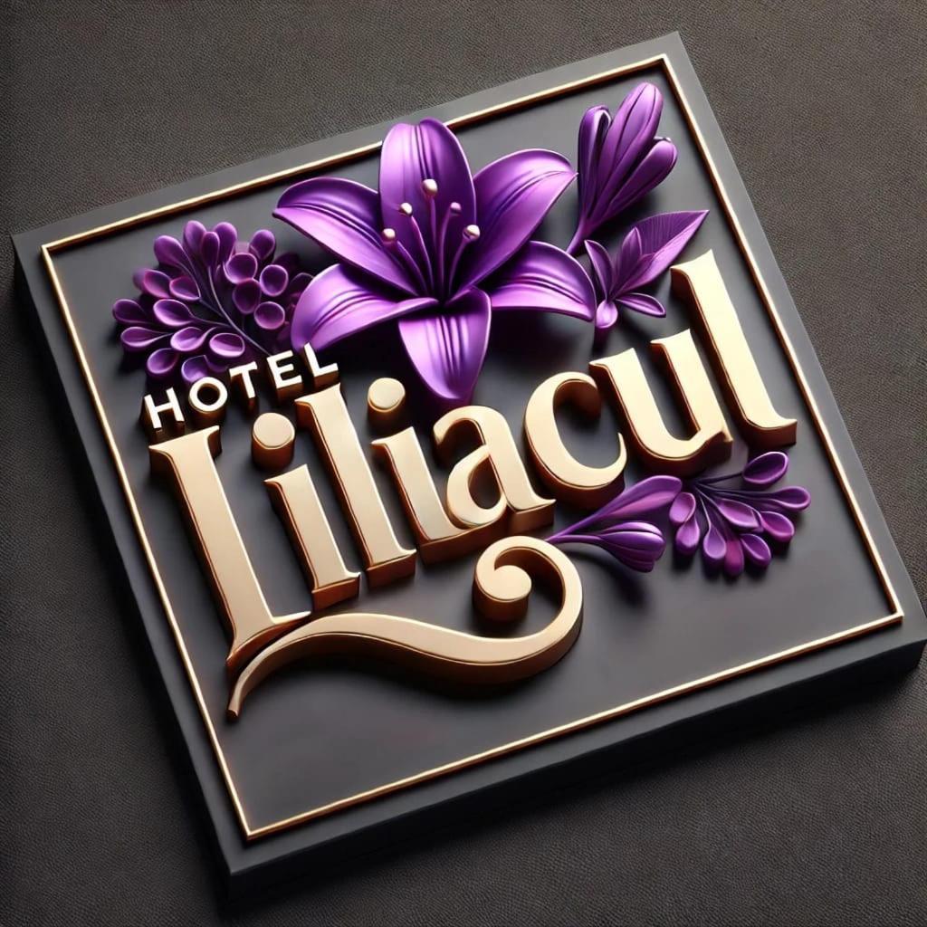 Hotel Liliacul Kolozsvár Kültér fotó